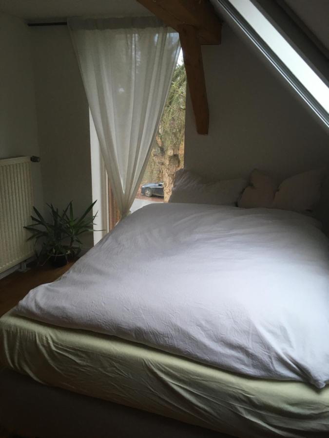 Wunderschoenes An Der Elbe Apartment Bleckede